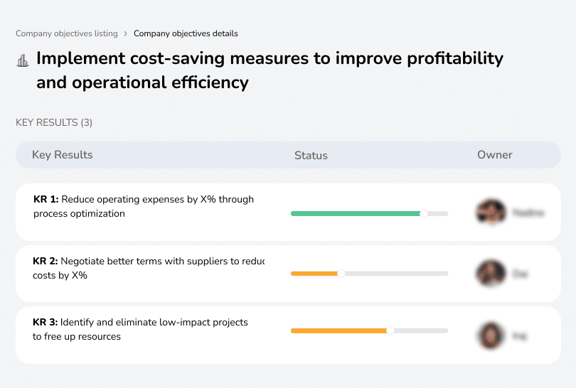 Implement cost-saving strategies to enhance profitability and boost operational efficiency across the organization.