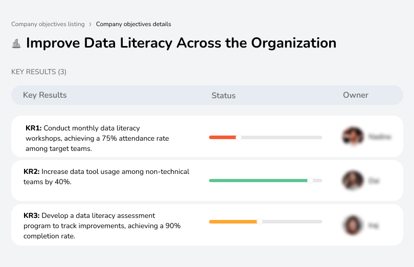 Objective to enhance data literacy, empowering teams to leverage data effectively in decision-making.