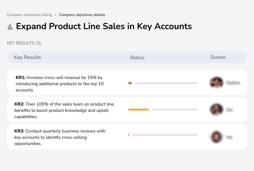 Increase cross-sell revenue by 15% in top 10 accounts.
