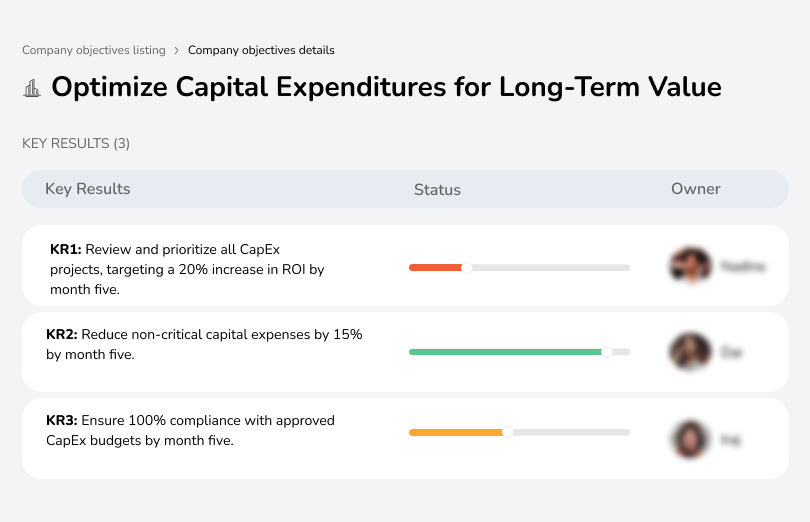 Optimize capital expenditures to maximize long-term value and financial sustainability.