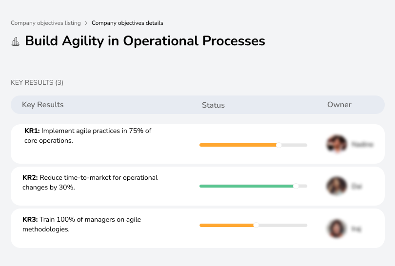 Apply agile methods in 75% of operations to reduce time-to-market for process changes by 30%.