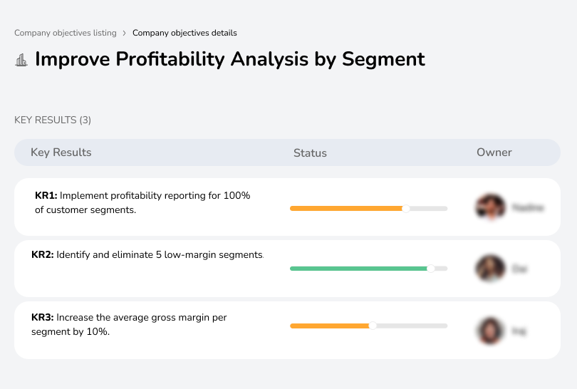 Improve Profitability Analysis by Segment